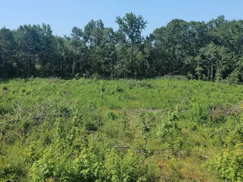 Waterloo SC Land for Sale